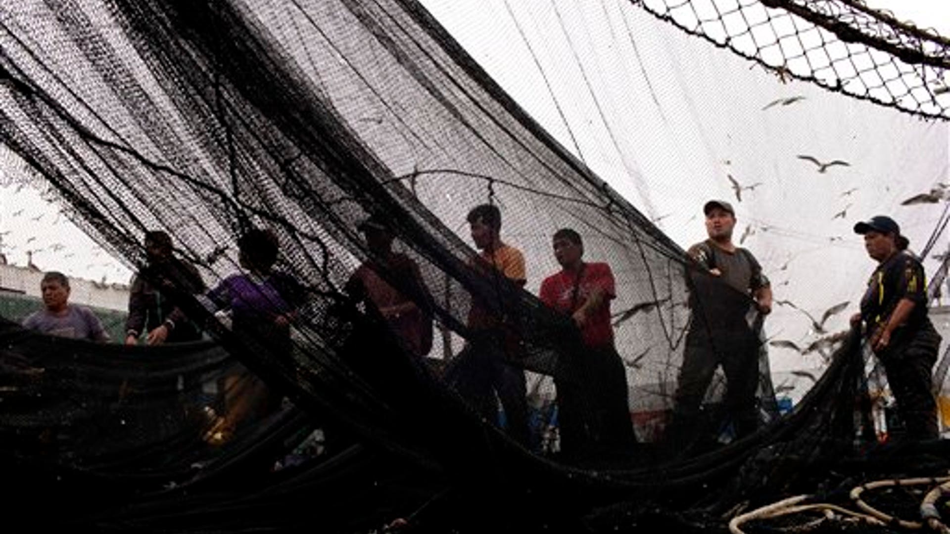 7a5434386e0aee24240f6a706700223e