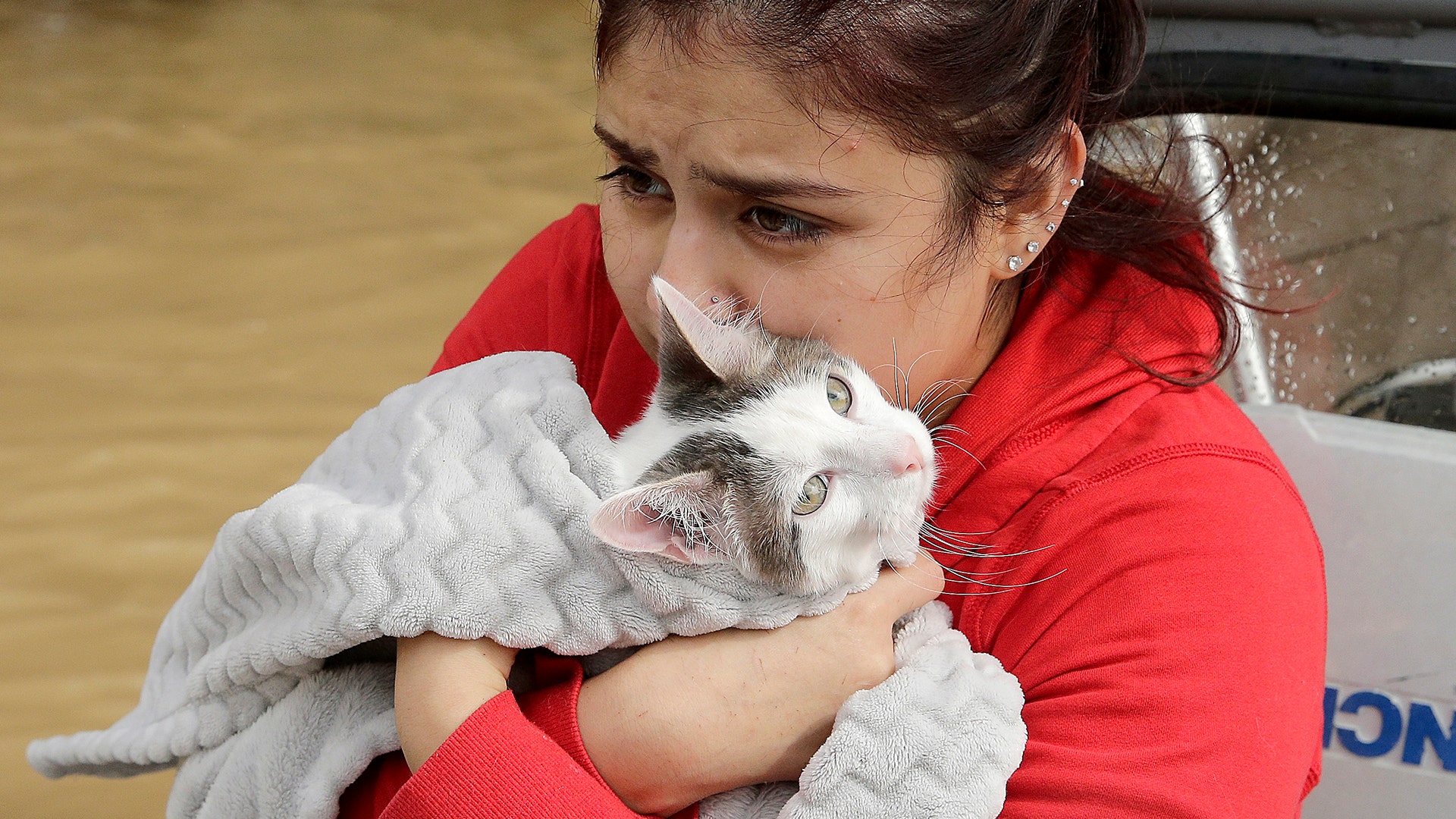 Jannett Martinez holds her cat Gigi as she rides a boat out of her neighborhood due to Tropical Storm Harvey in Houston, Tuesday