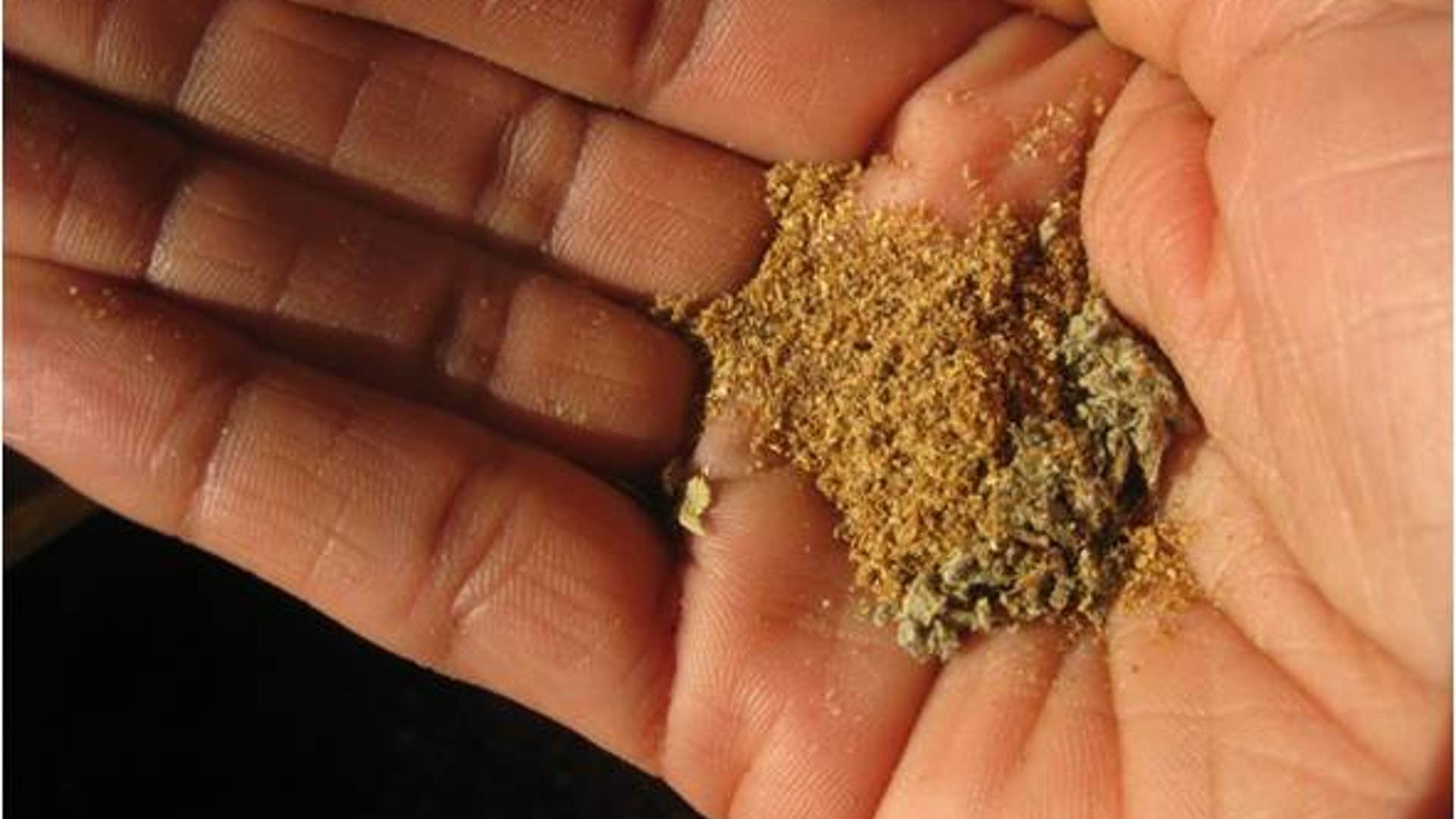 dominicanstewstepsix