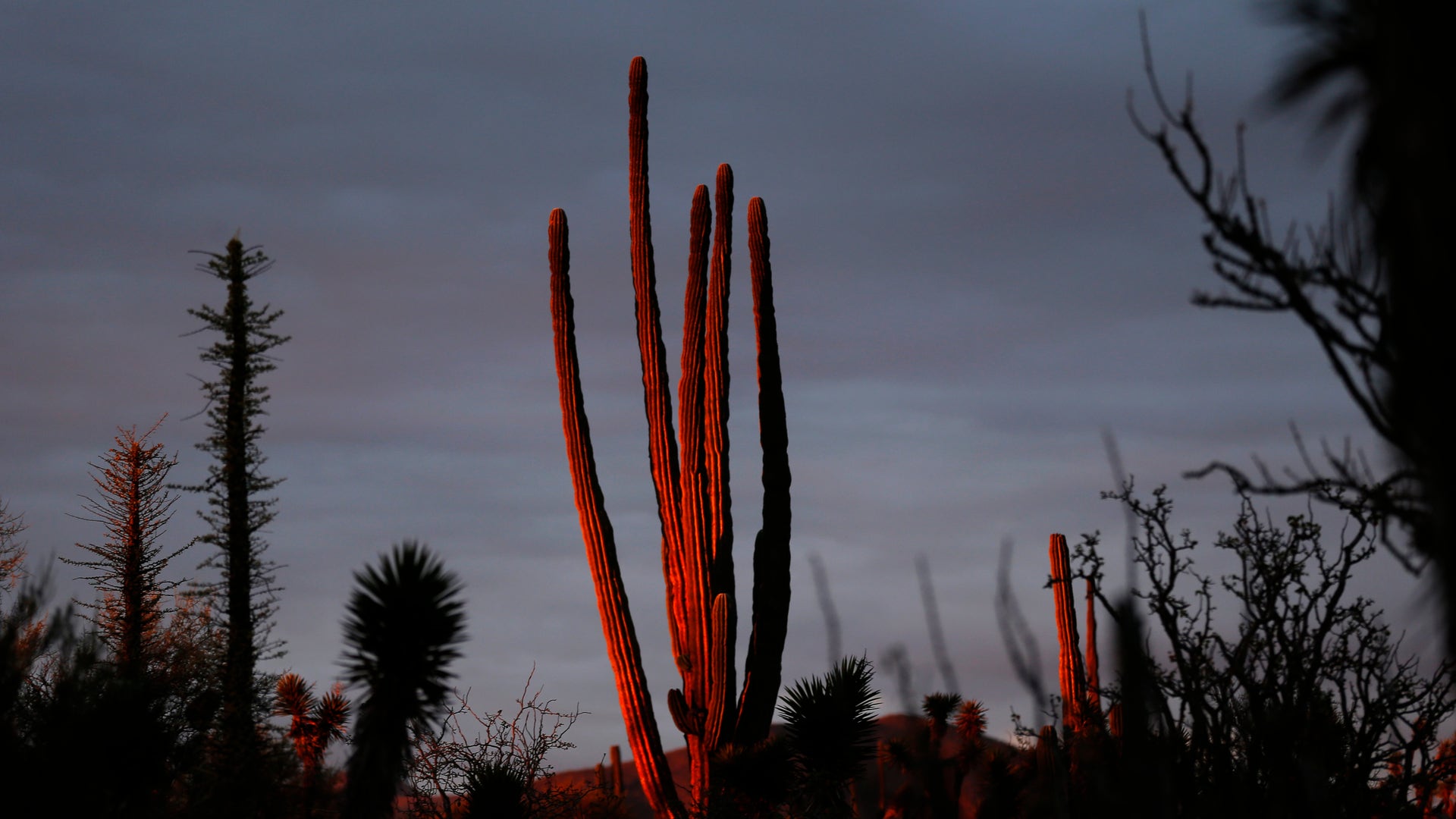Mexico_Baja_Tourism__2_
