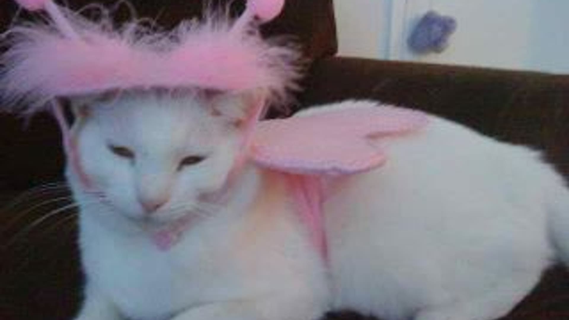 Maura_Coco_Strathern