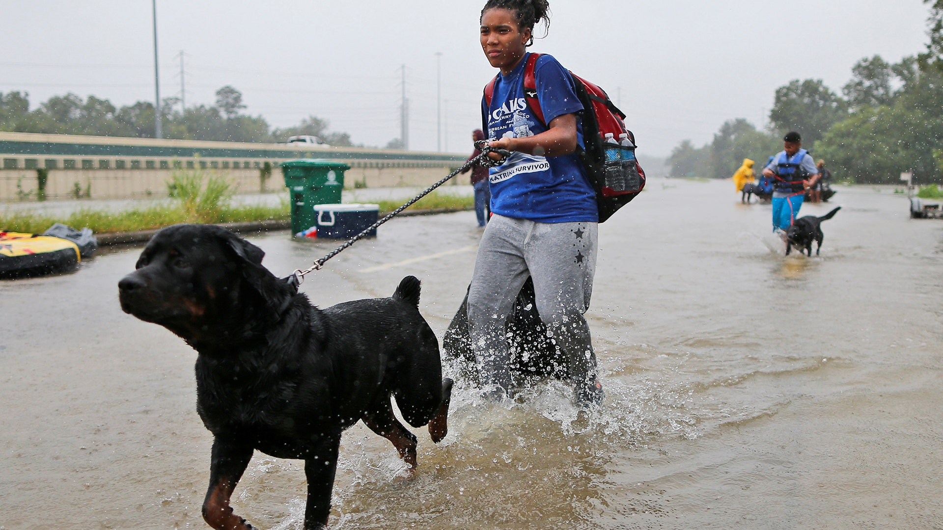 Destyn Scales and her dog Dexter wade through flood waters from Tropical Storm Harvey in Beaumont Place, Texas, Monday