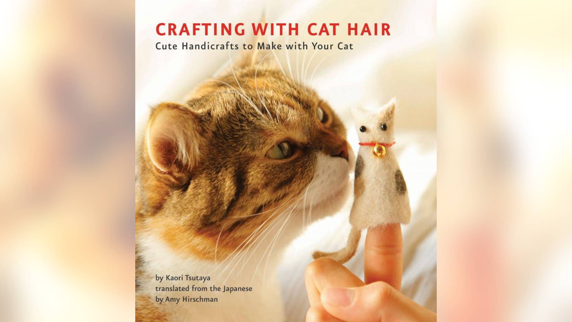 Kaori Tsutaya and Amy Hirschman, Amazon.com 
Does your cat shed? If so, don't let Fluffy's fur go to waste. Craft with it! (Or not.)
