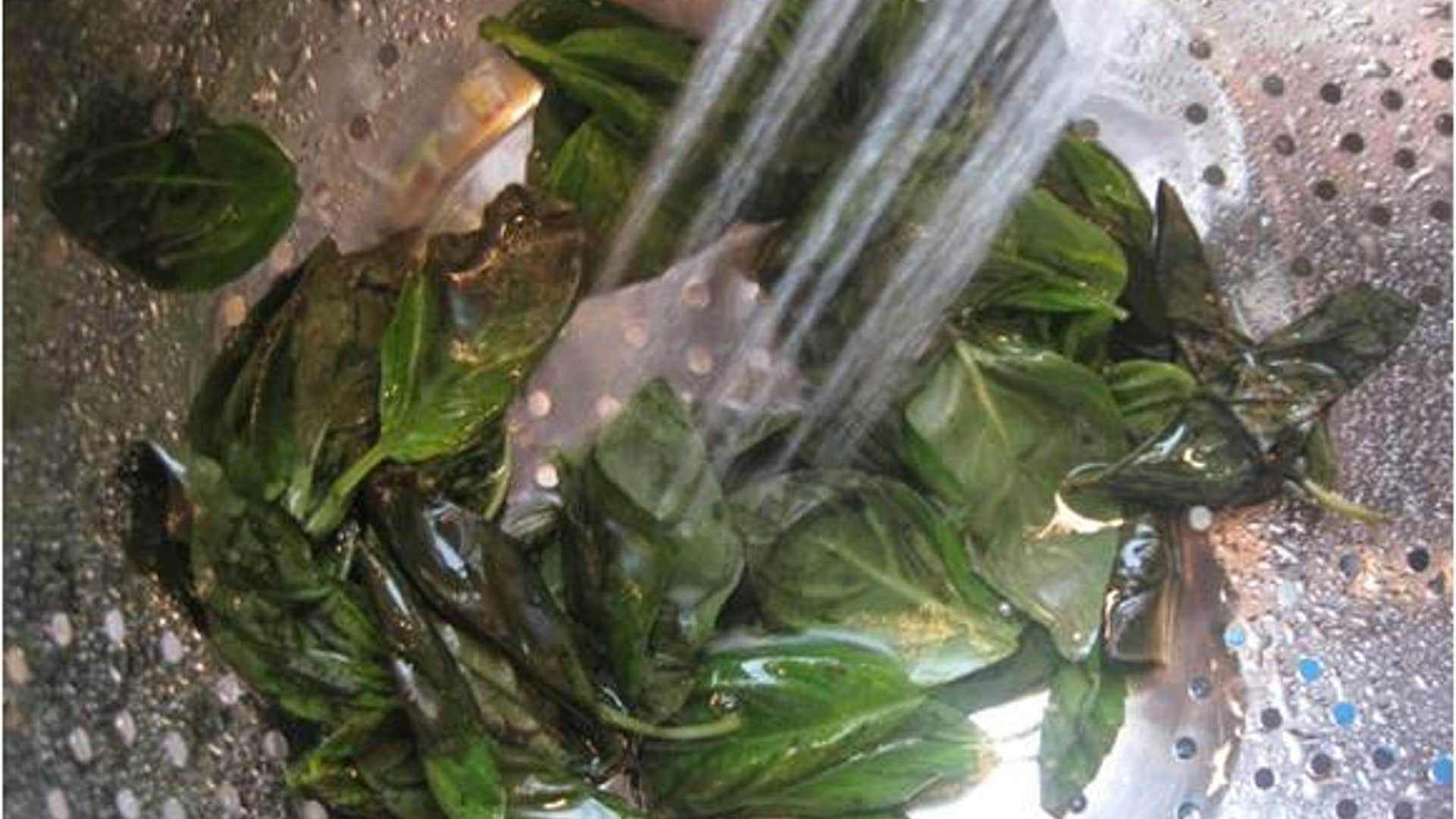 tomato Basil founder step one