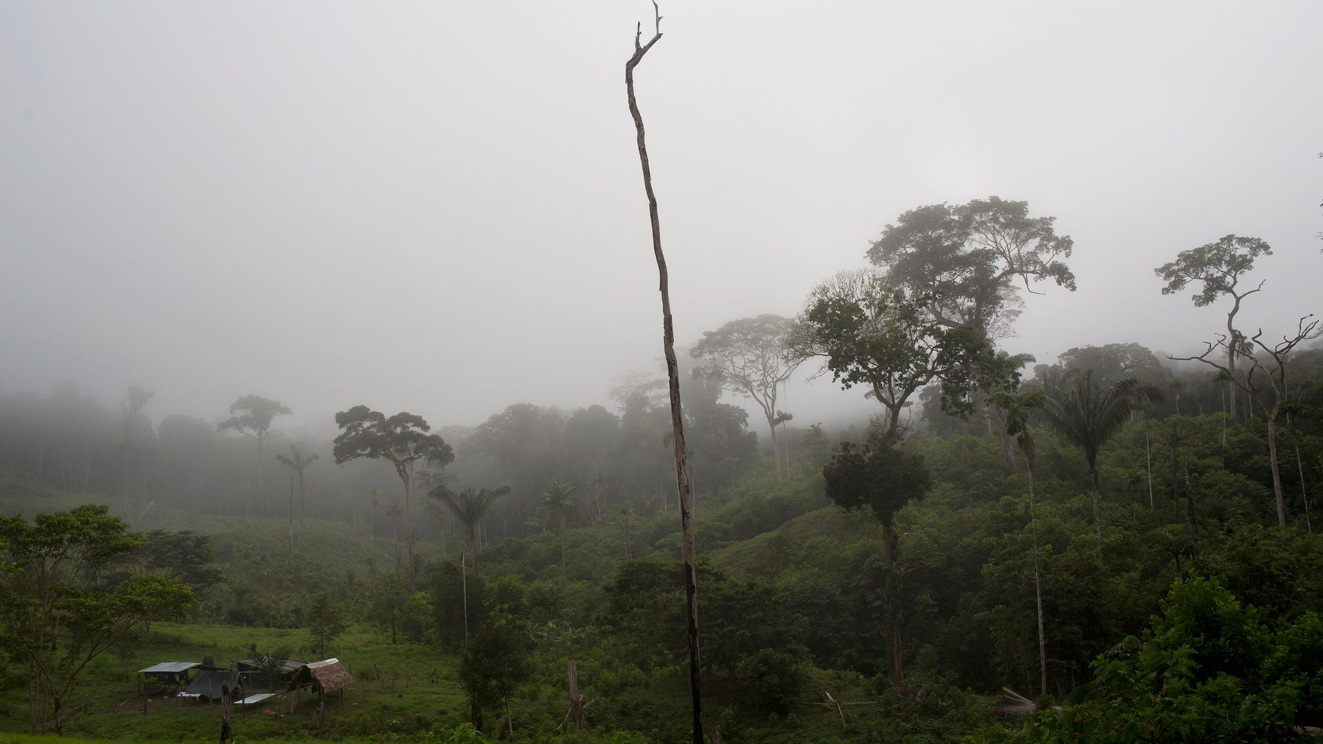 Peru_Cocaleros_Photo__Garc_2_
