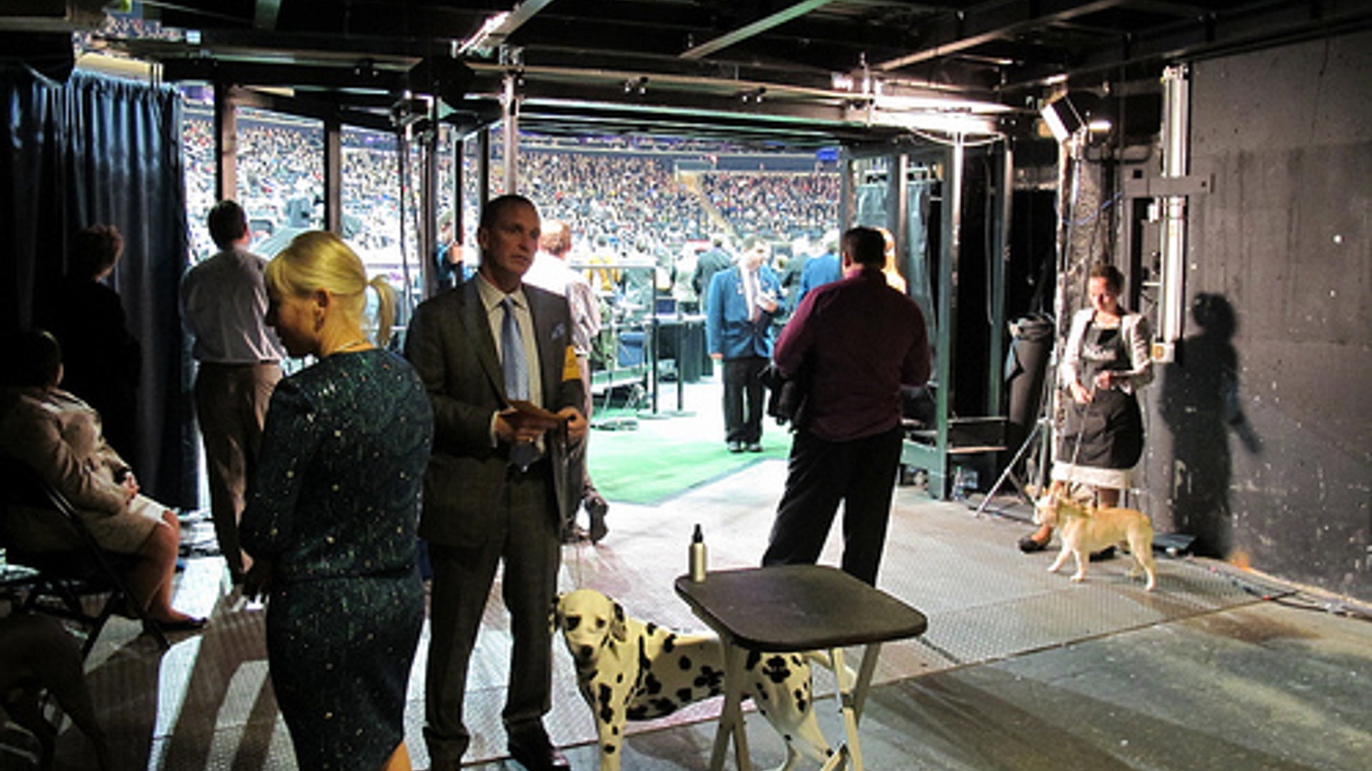 8467356274_d797f87efe