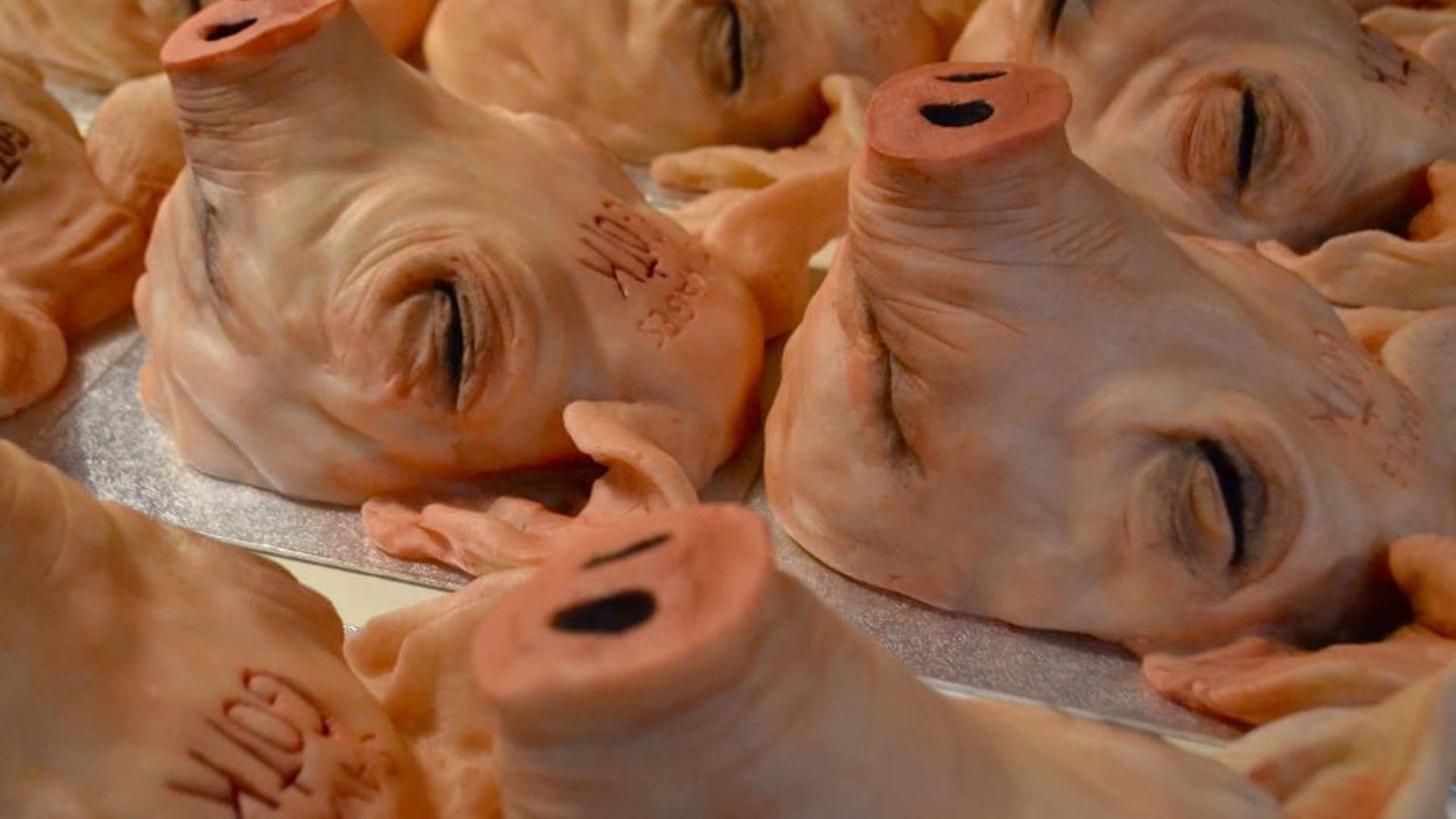 pigheadcakes