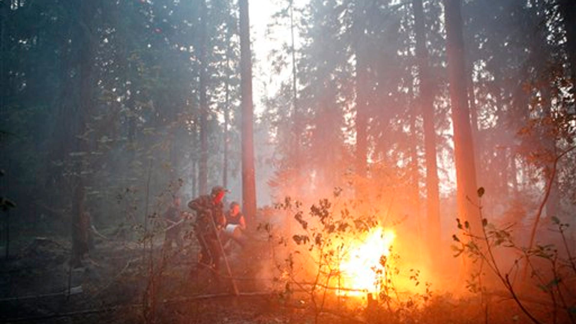 Putting out the Flames