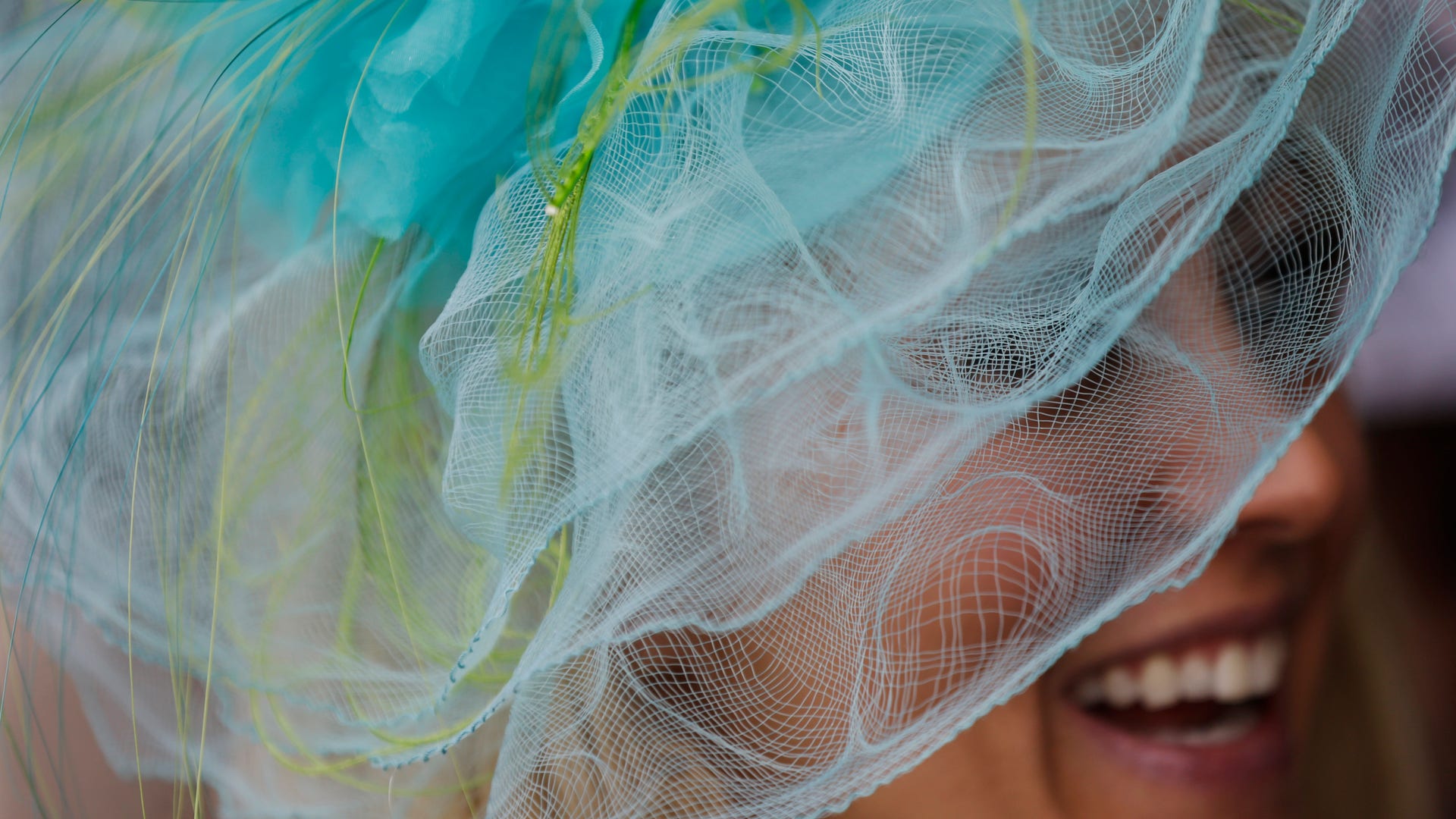 Kentucky_Derby_Horse__Hein_8_