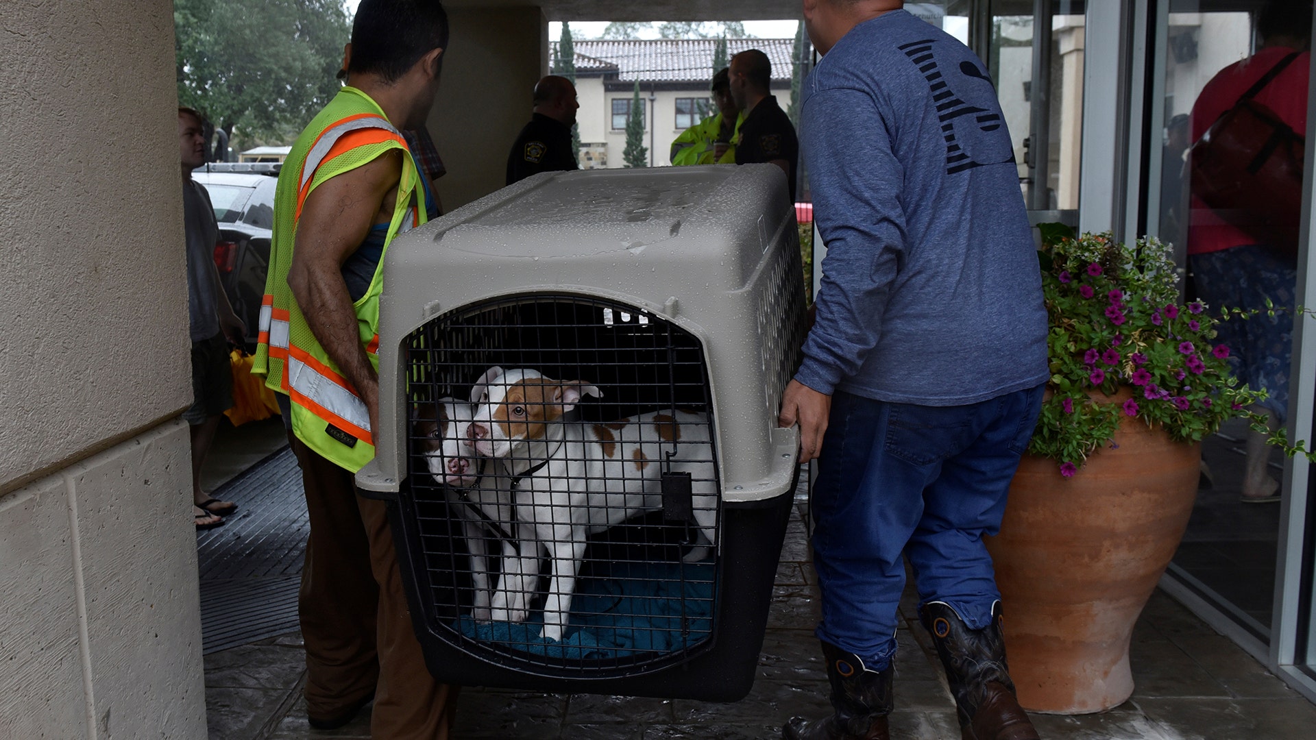 Joshua Garcia and Jesse Cardenas carry rescued dogs into an evacuation center in Bellaire, Texas, Monday