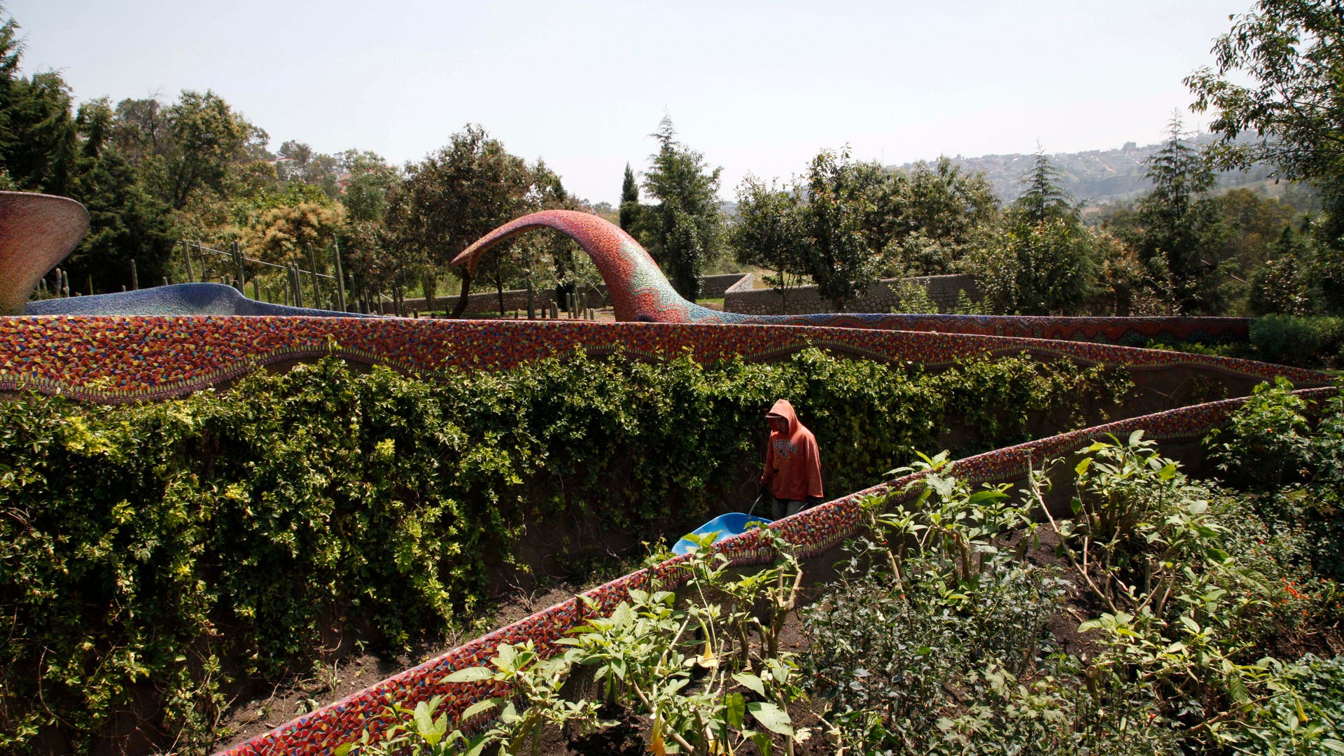 Mexico_Organic_Archit_Vros__6_