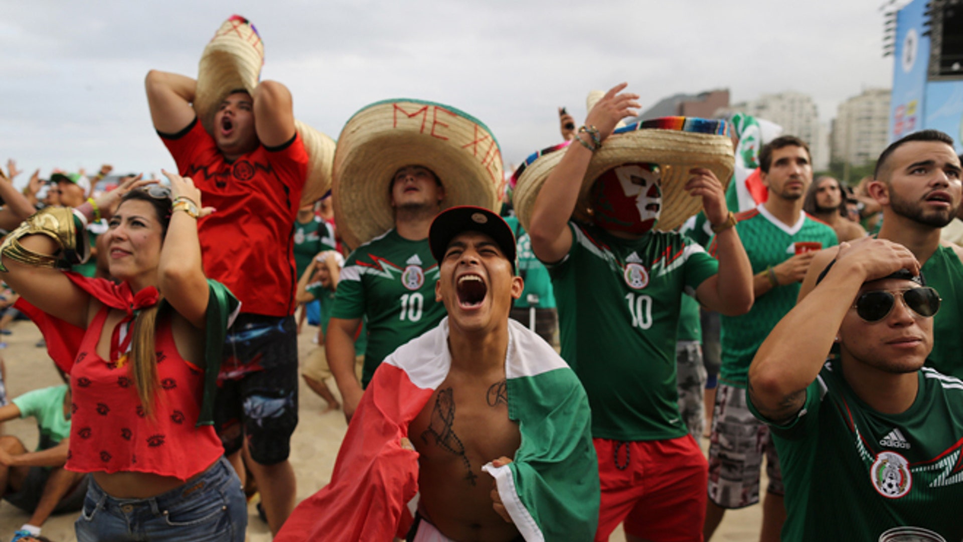 AP_World_Cup_Mexican_Fans