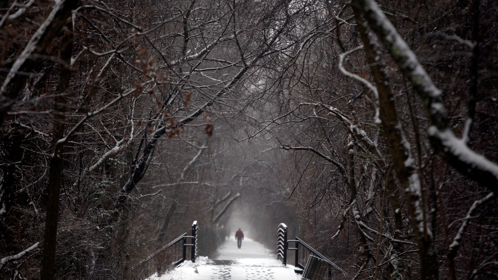 Northeast_Snow_Carr_9_