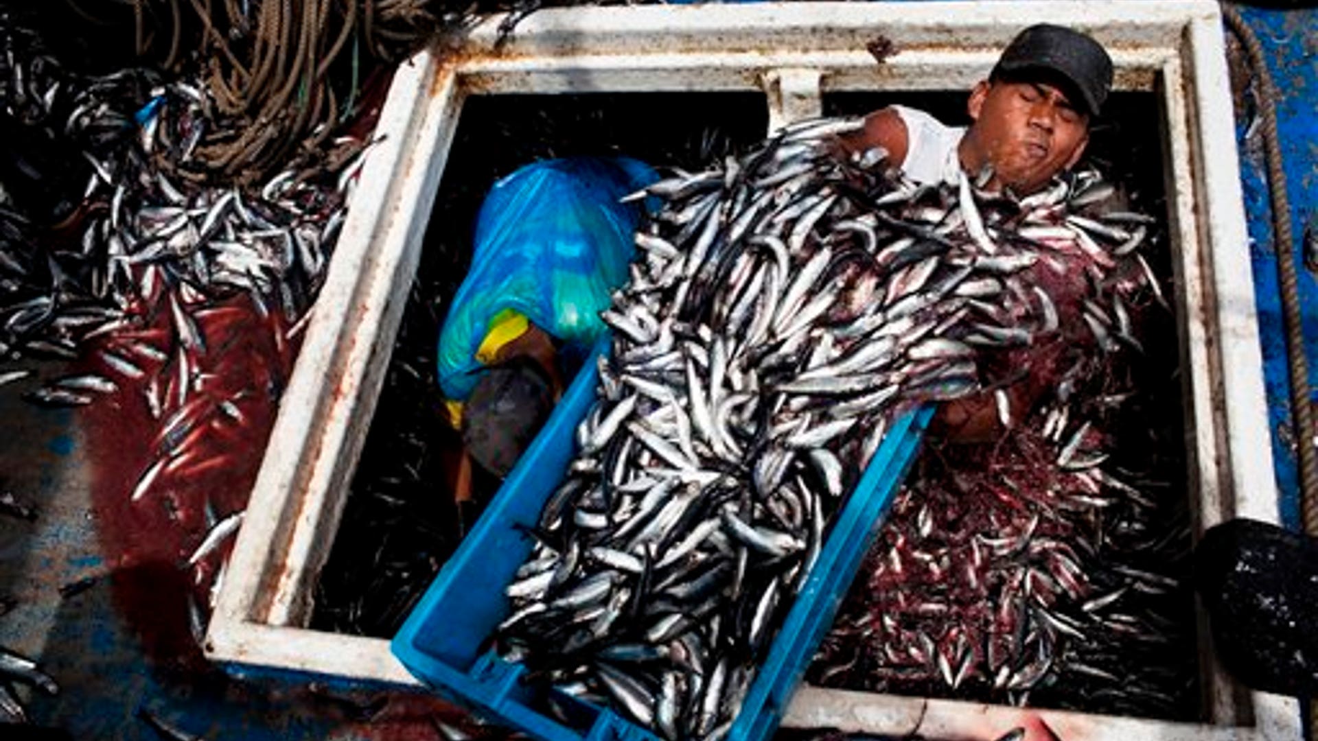 8b7d88736e3cef24240f6a7067007c3e