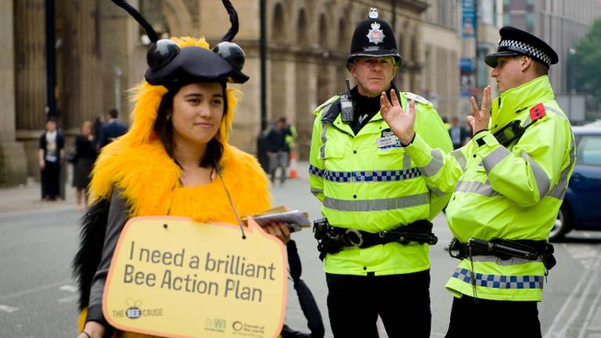 Manchester bee