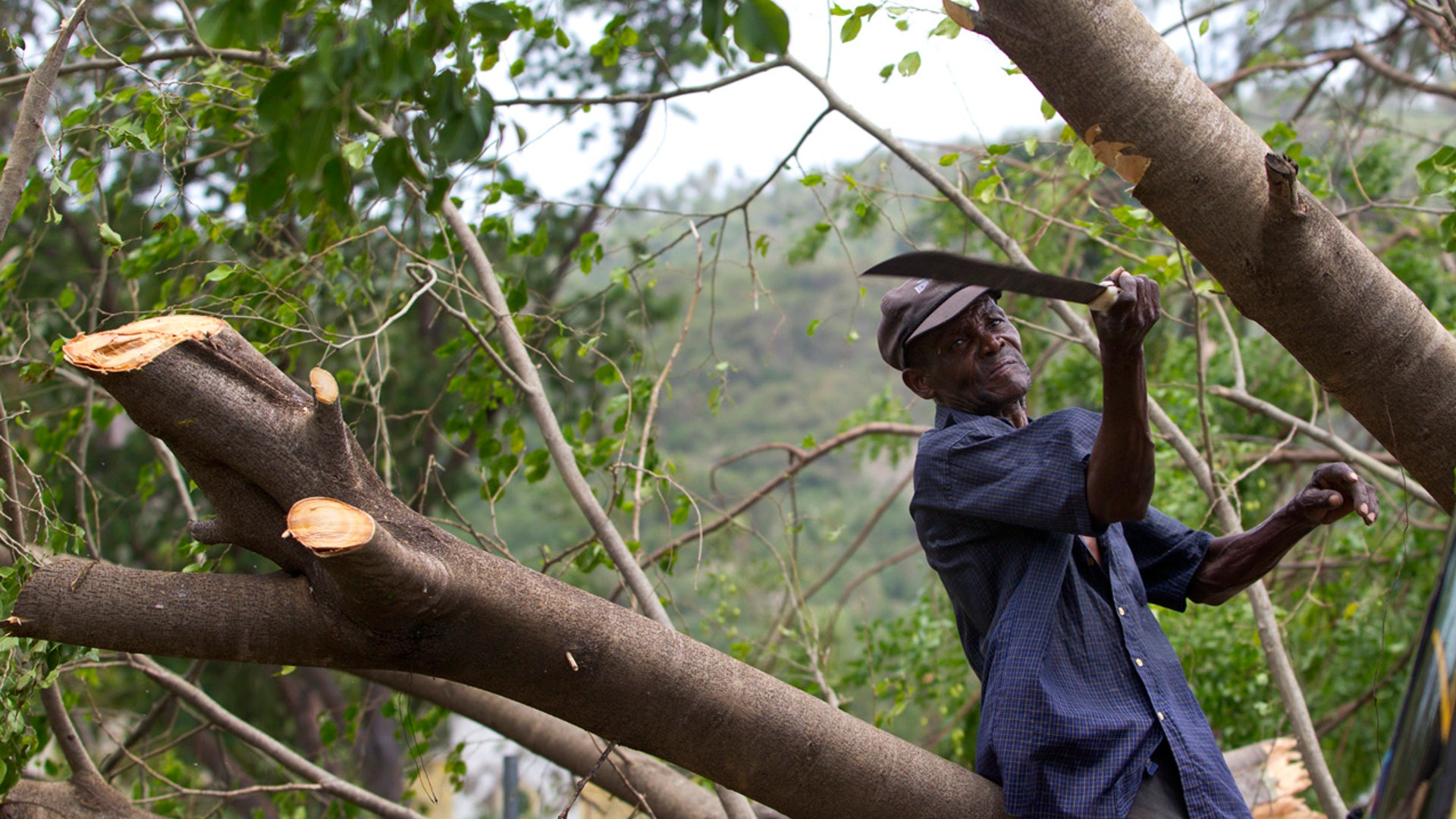 Tropical_Weather_Grat__1_