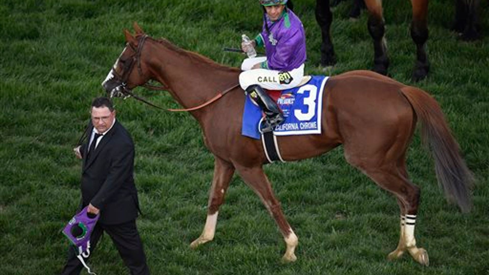 California_Chrome_23
