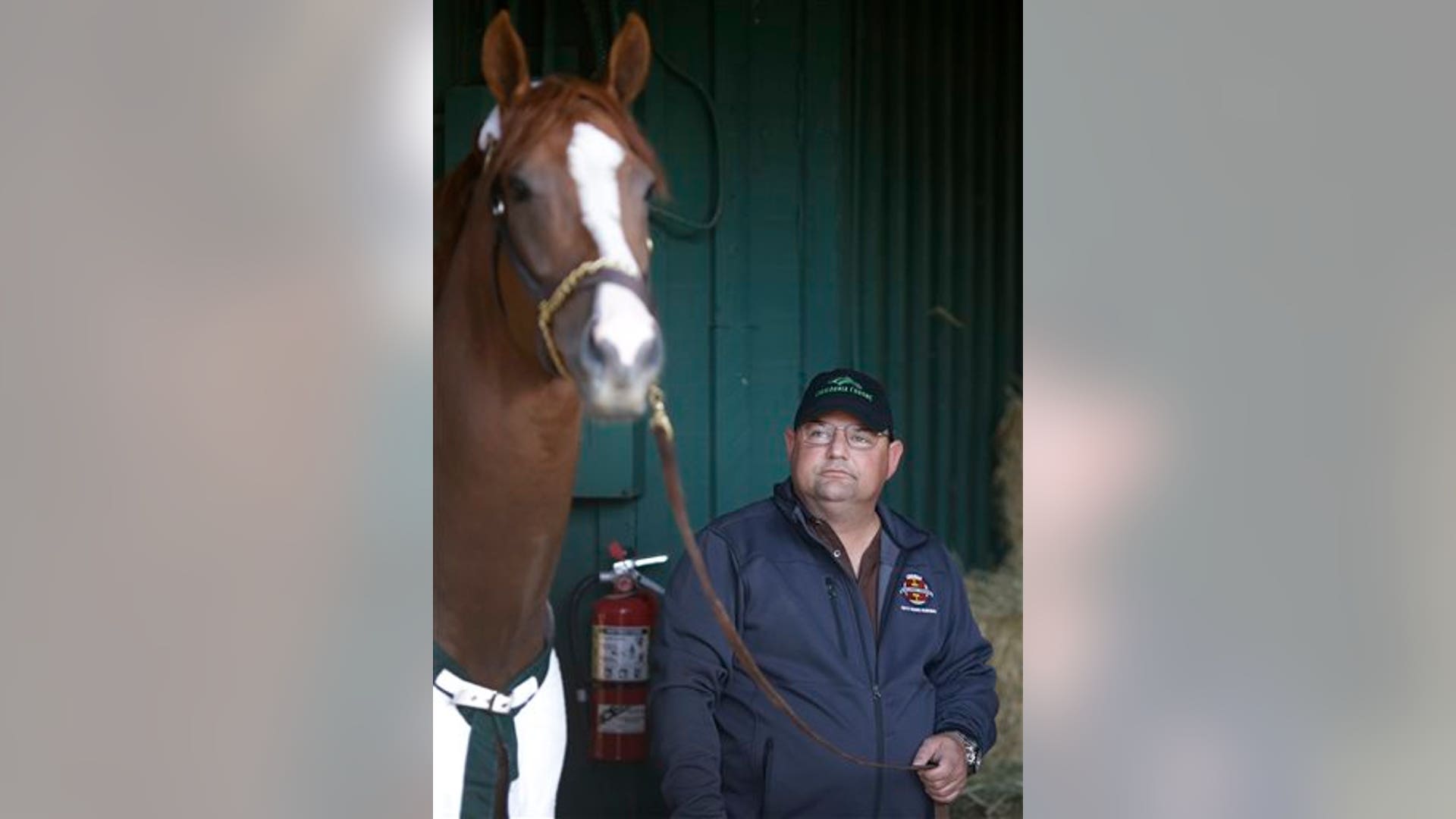 California_Chrome_3