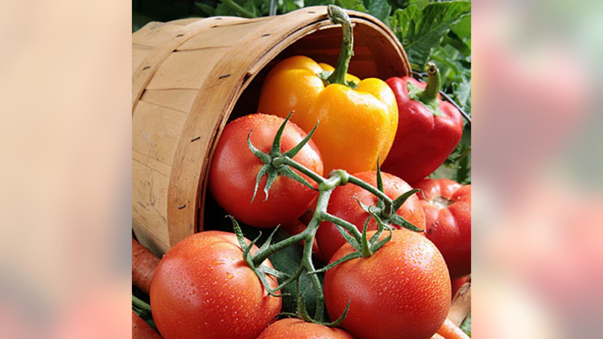 veggies_000003705365_l