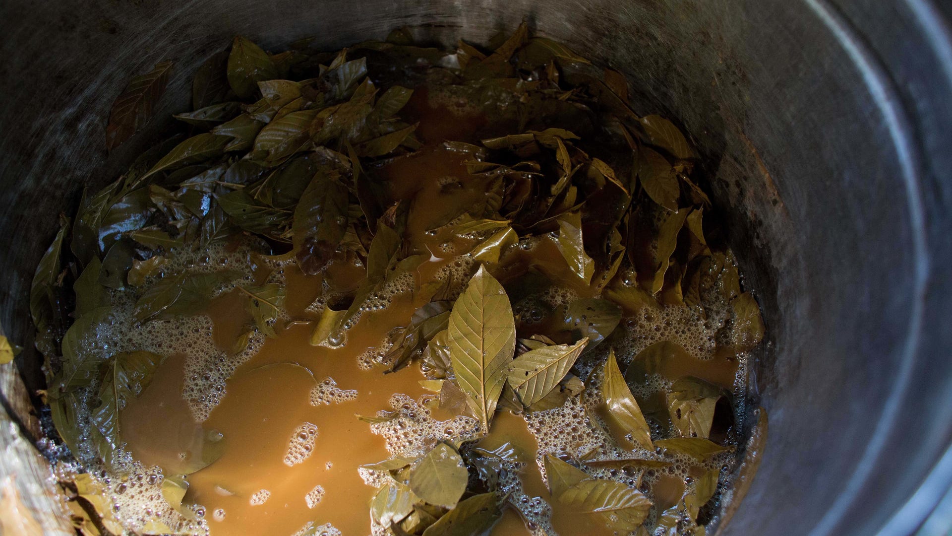 Brazil_Ayahuasca_Phot_Vros__11_