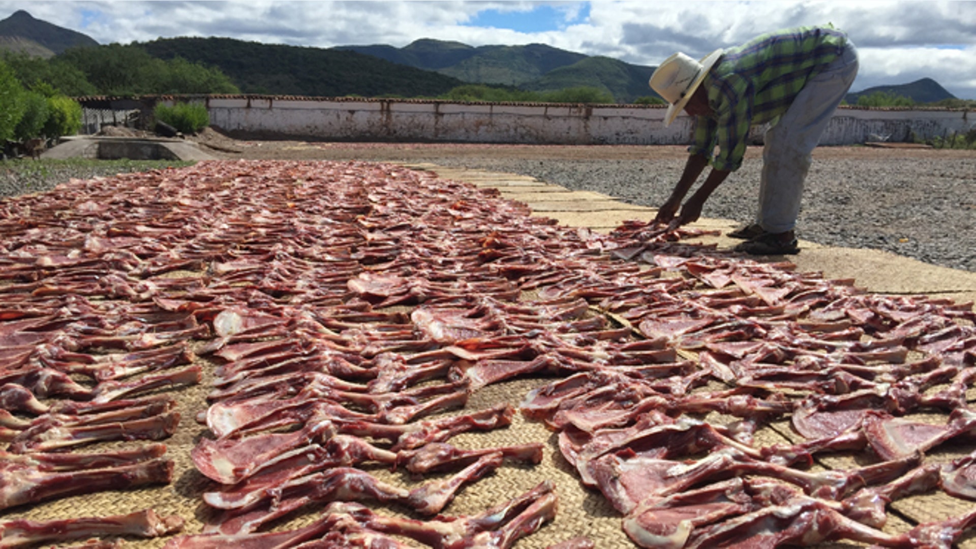 Goat_top_sun_cured_Latino