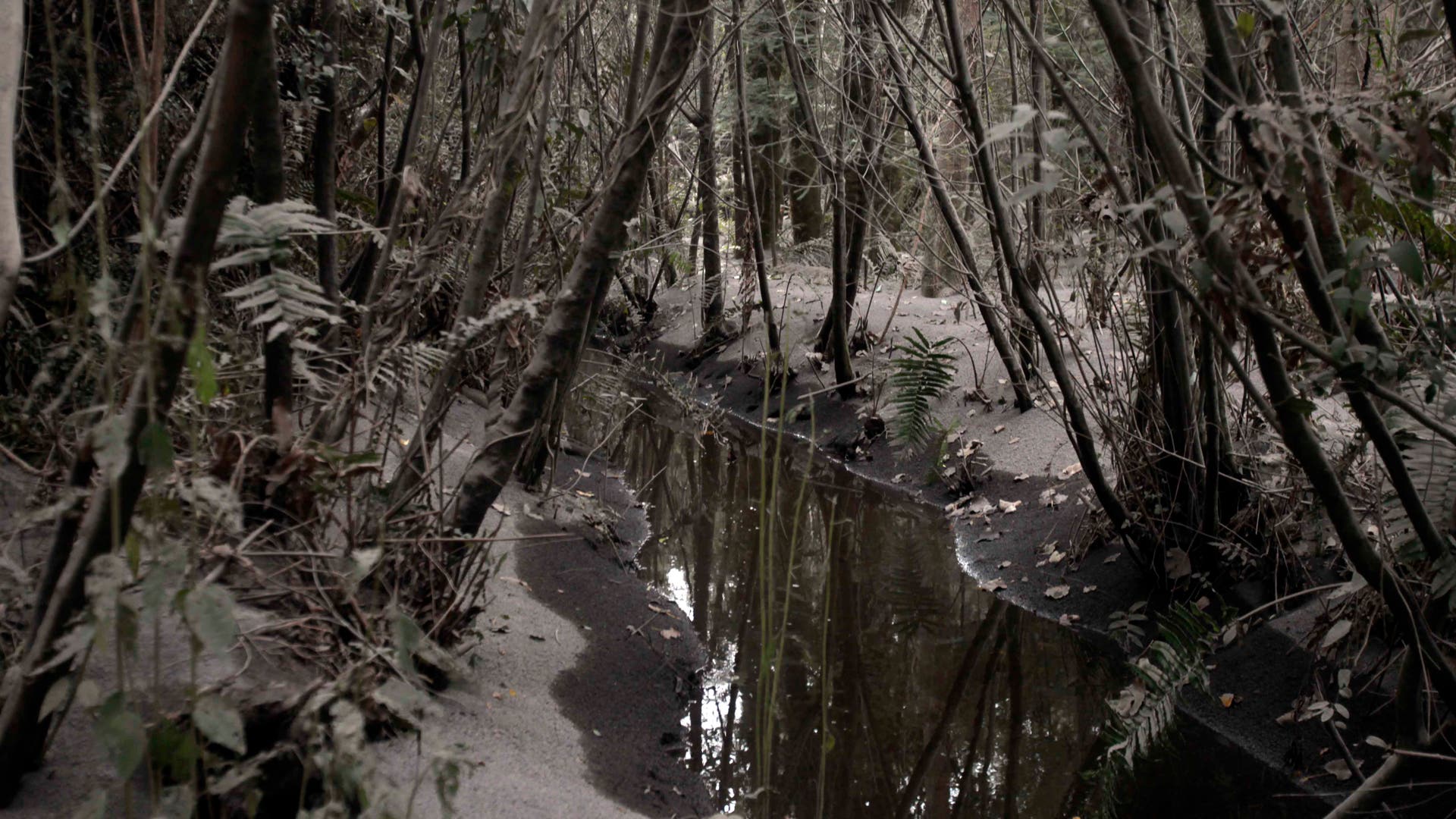 Chile_volcano_clean_up__4_
