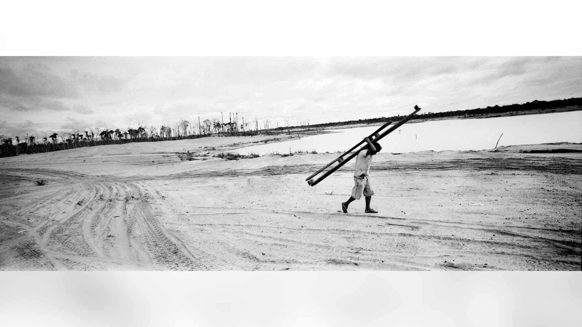 Peru_Rainforest_Destroyed__6_