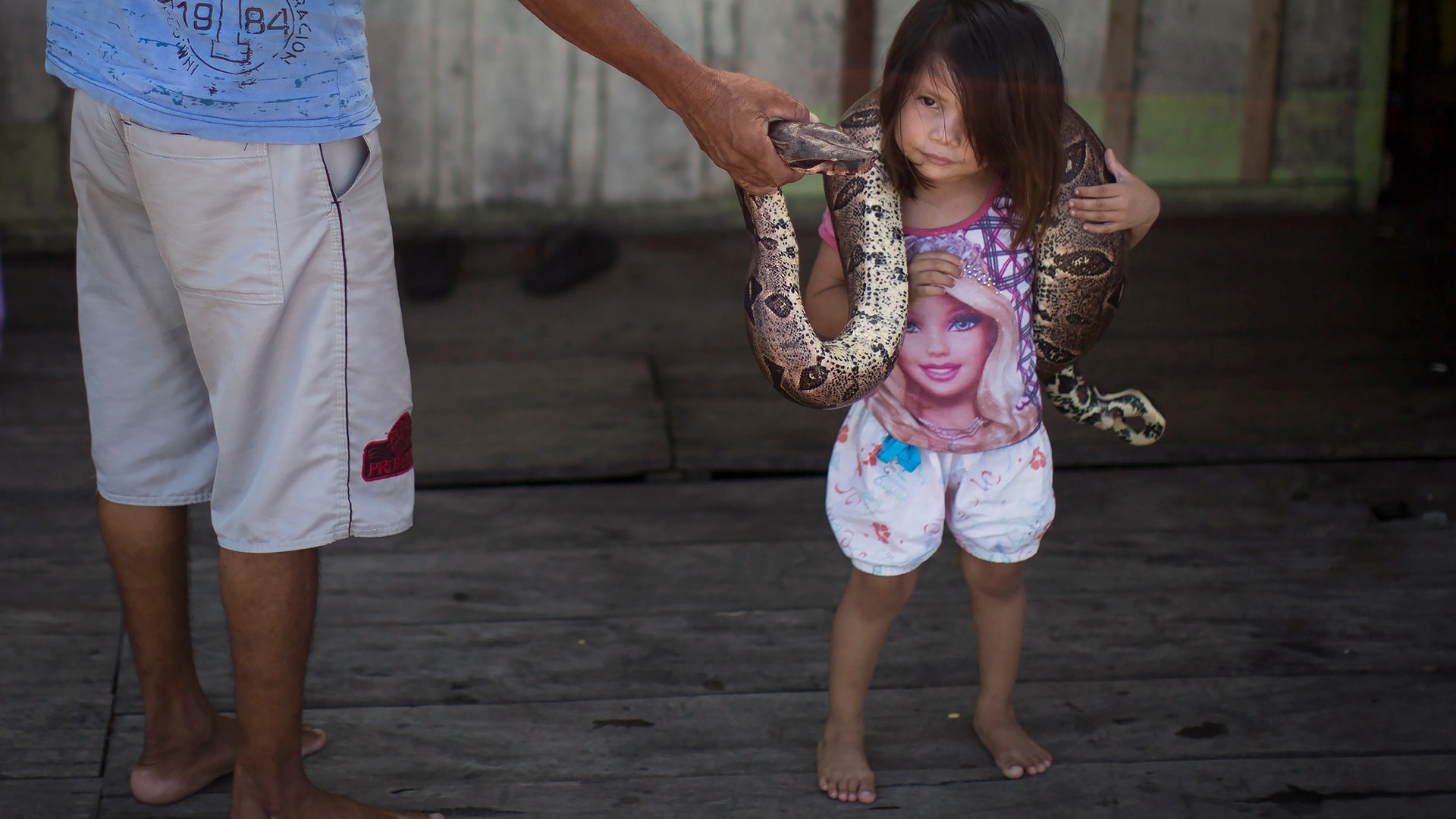 Brazil_WCup_Amazon_An_Vros__3_