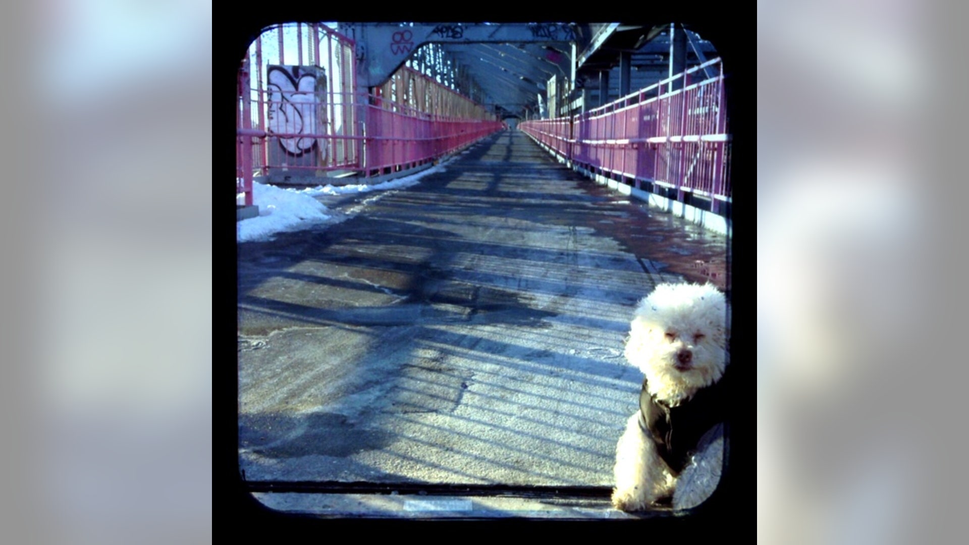 Puente_Williamsbourg