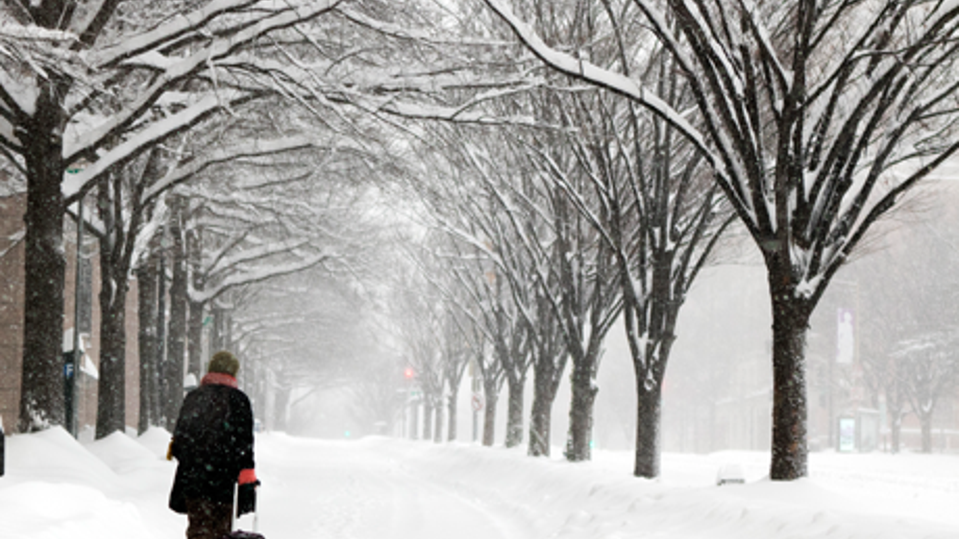 2016_Blizzard_FNL__21_