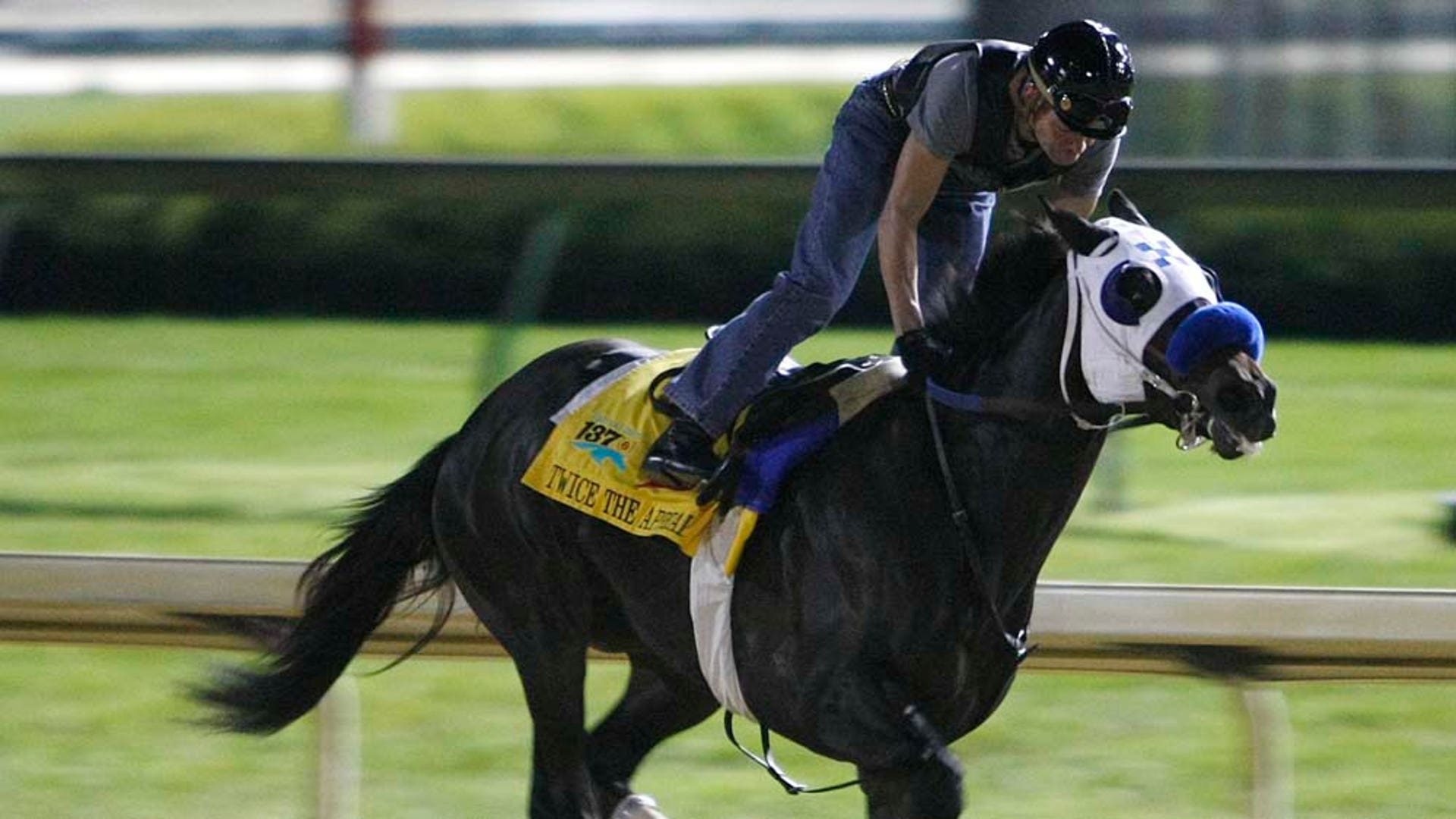 Calvin Borel 5-6-2011 LATINO