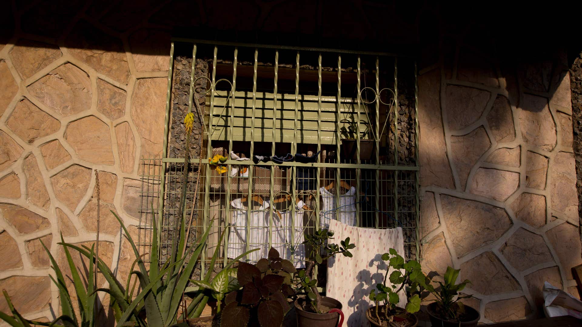 Venezuelans_Reclaim_Night__3_