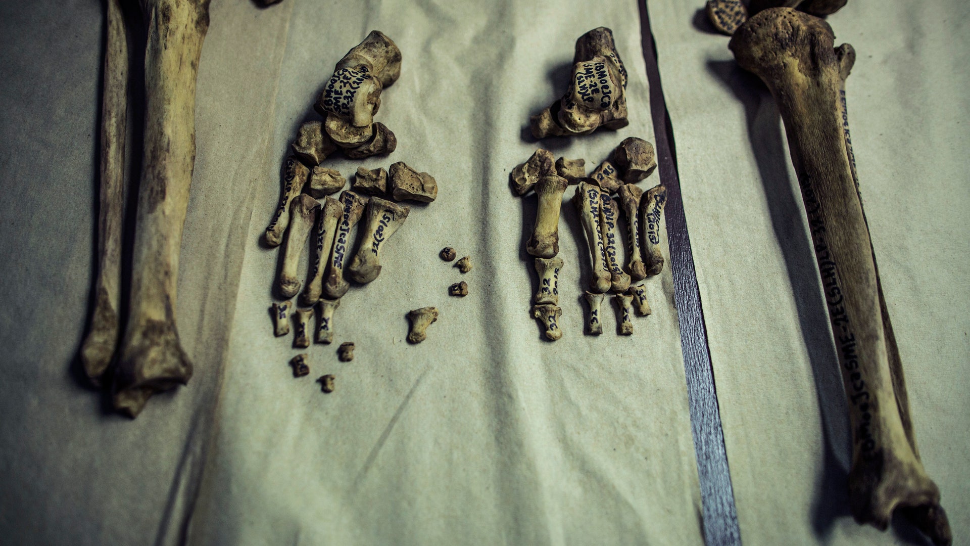 El_Salvador_violence__8_