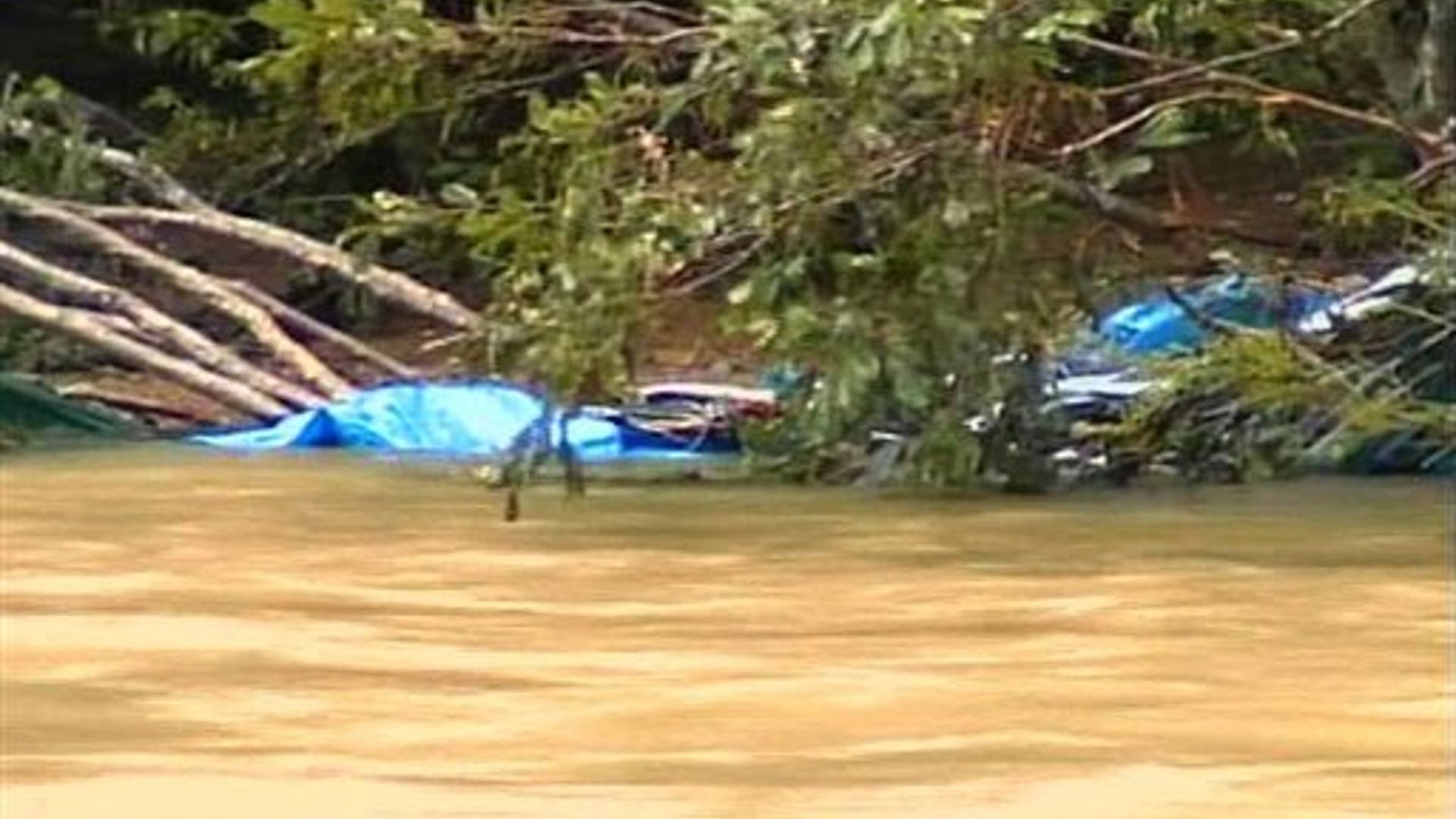 Ouachita National Forest