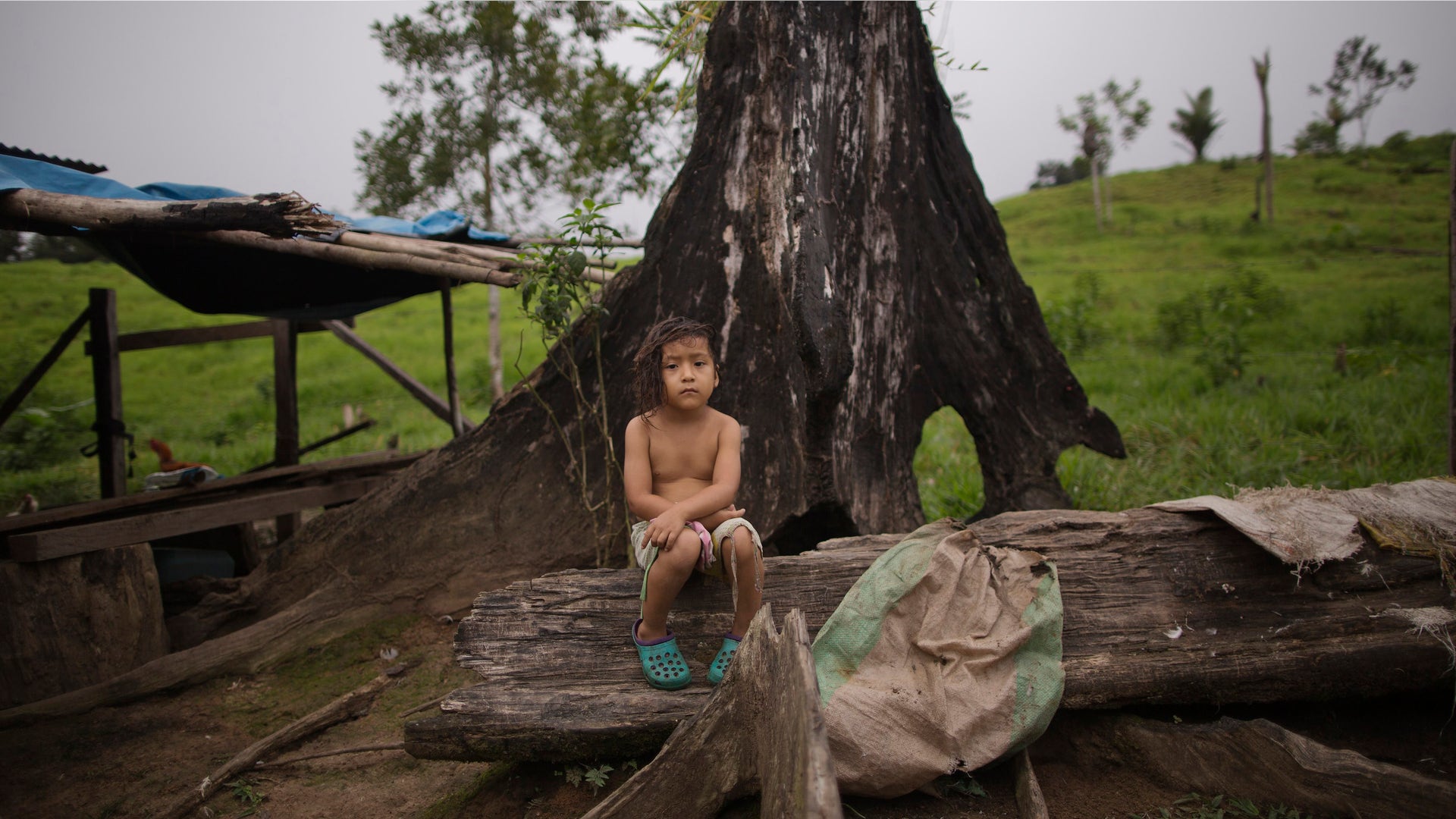 APTOPIX_Peru_Cocalero_Garc_1_