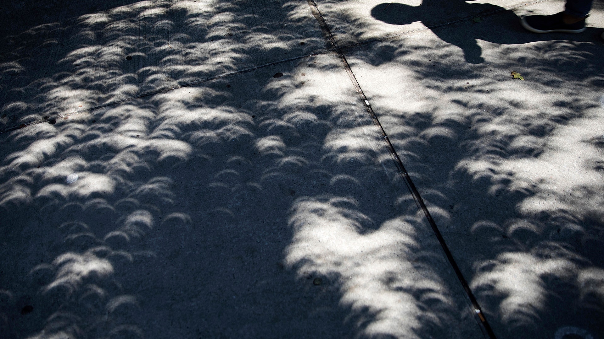 Shadows from a near total solar eclipse are projected on a sidewalk as a pedestrian passes in Atlanta