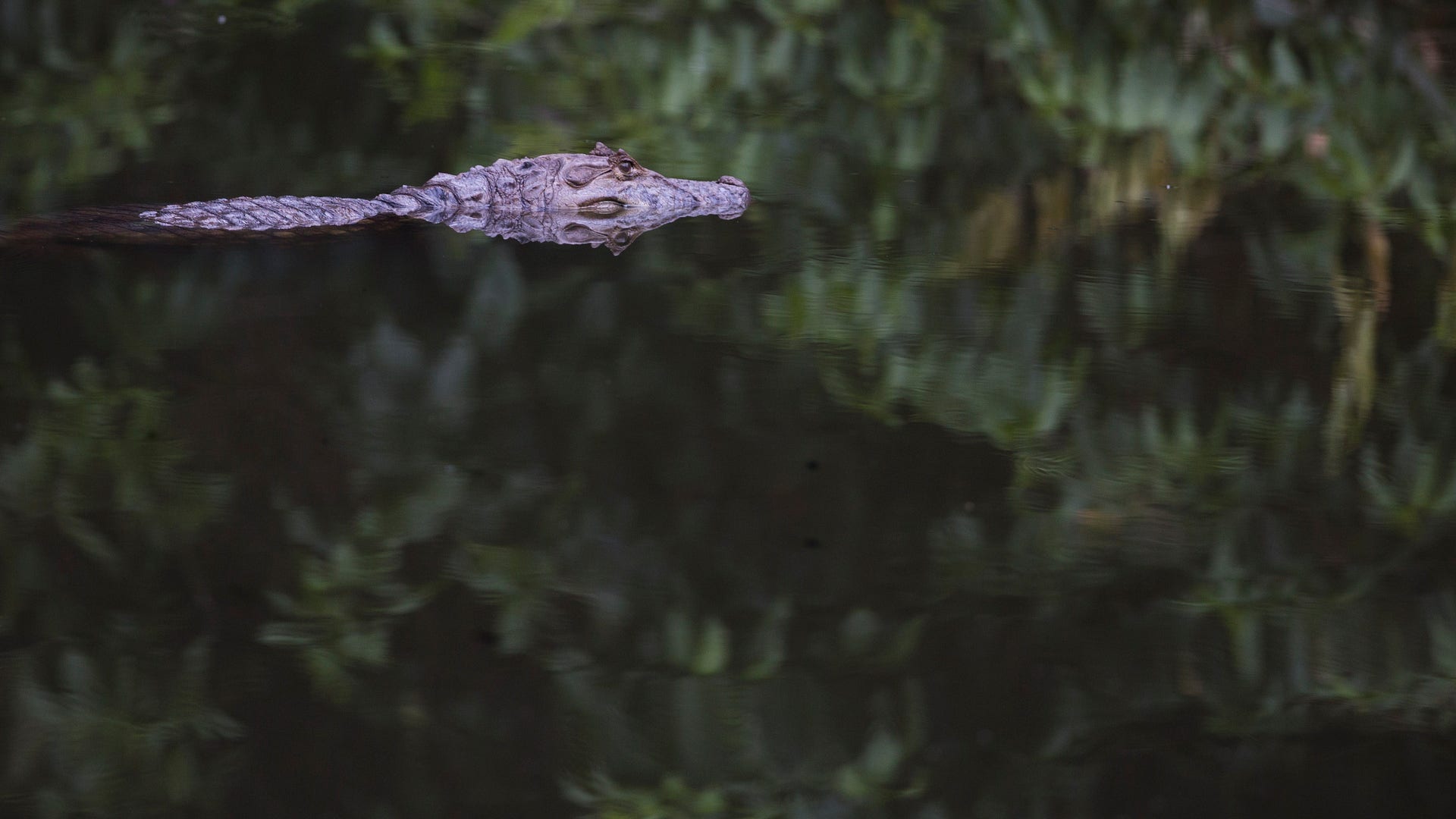 APTOPIX_Brazil_Rio_Ca_Grat__1_