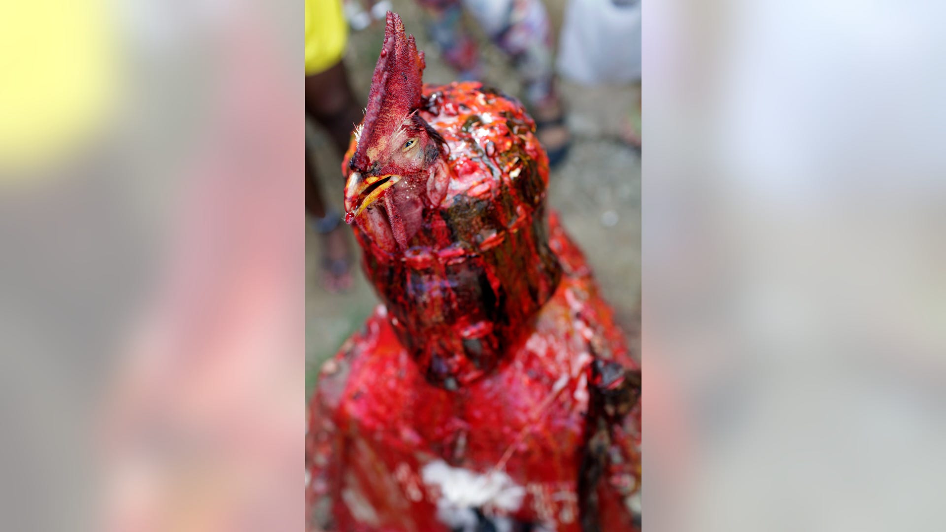 APTOPIX_Cuba_Santeria_Vros