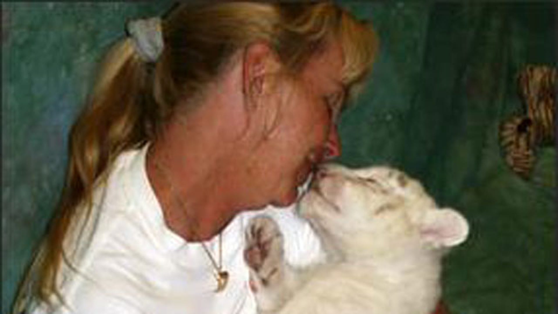 Alabama Zoo Tiger Encounter 