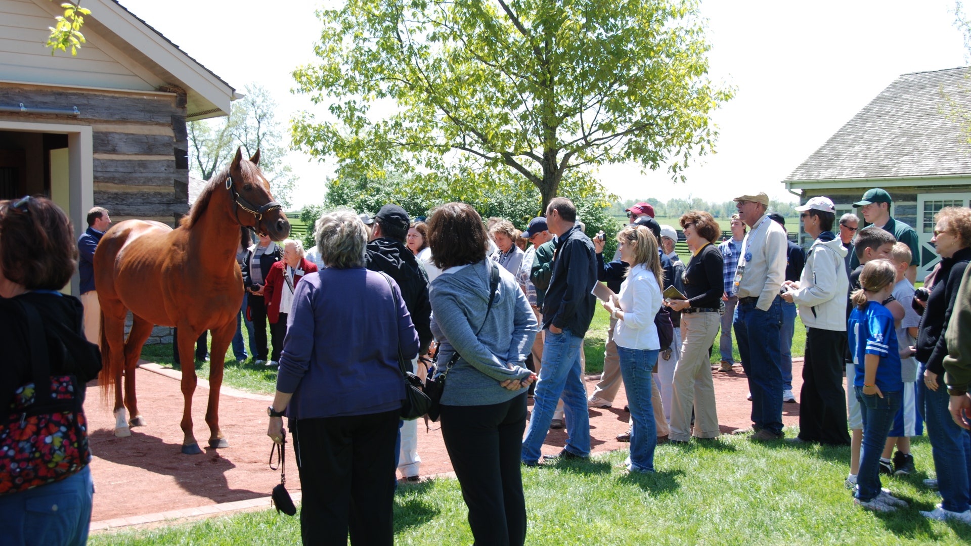 Alejandro_showing_Flower_Alley
