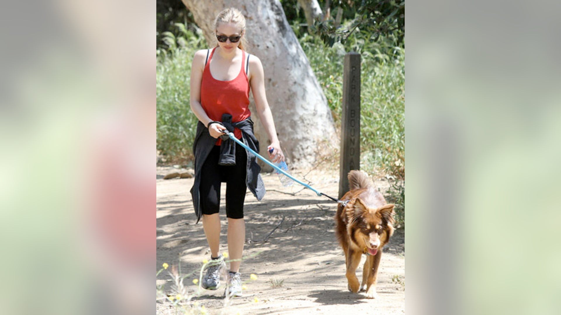 Amanda_Seyfried_aslidfu