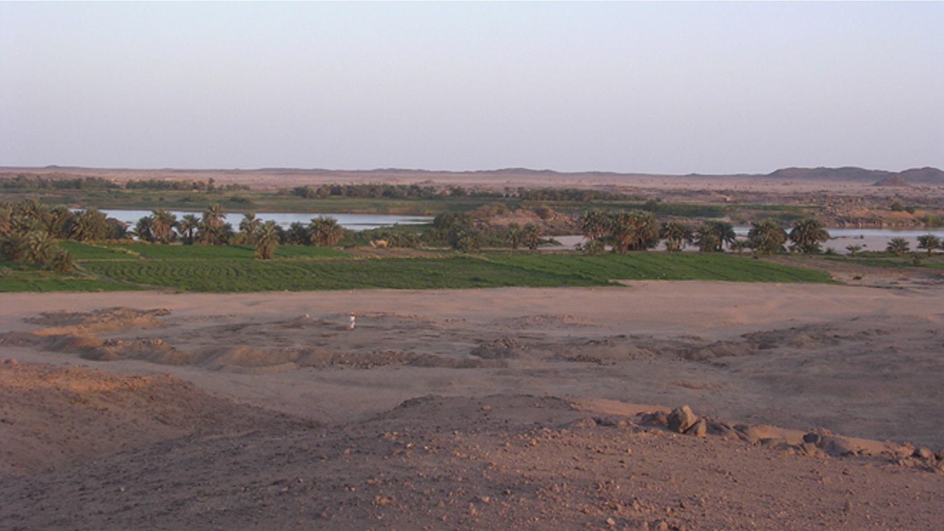 Found on the banks of the Nile