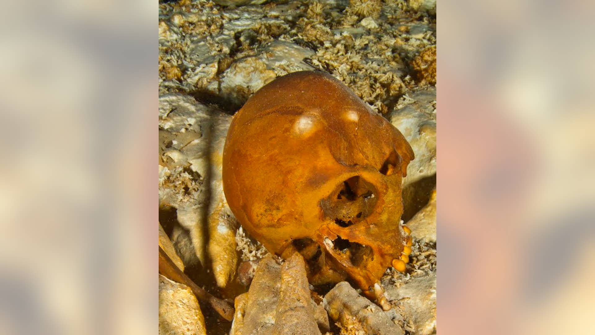 Ancient_skeleton___1_