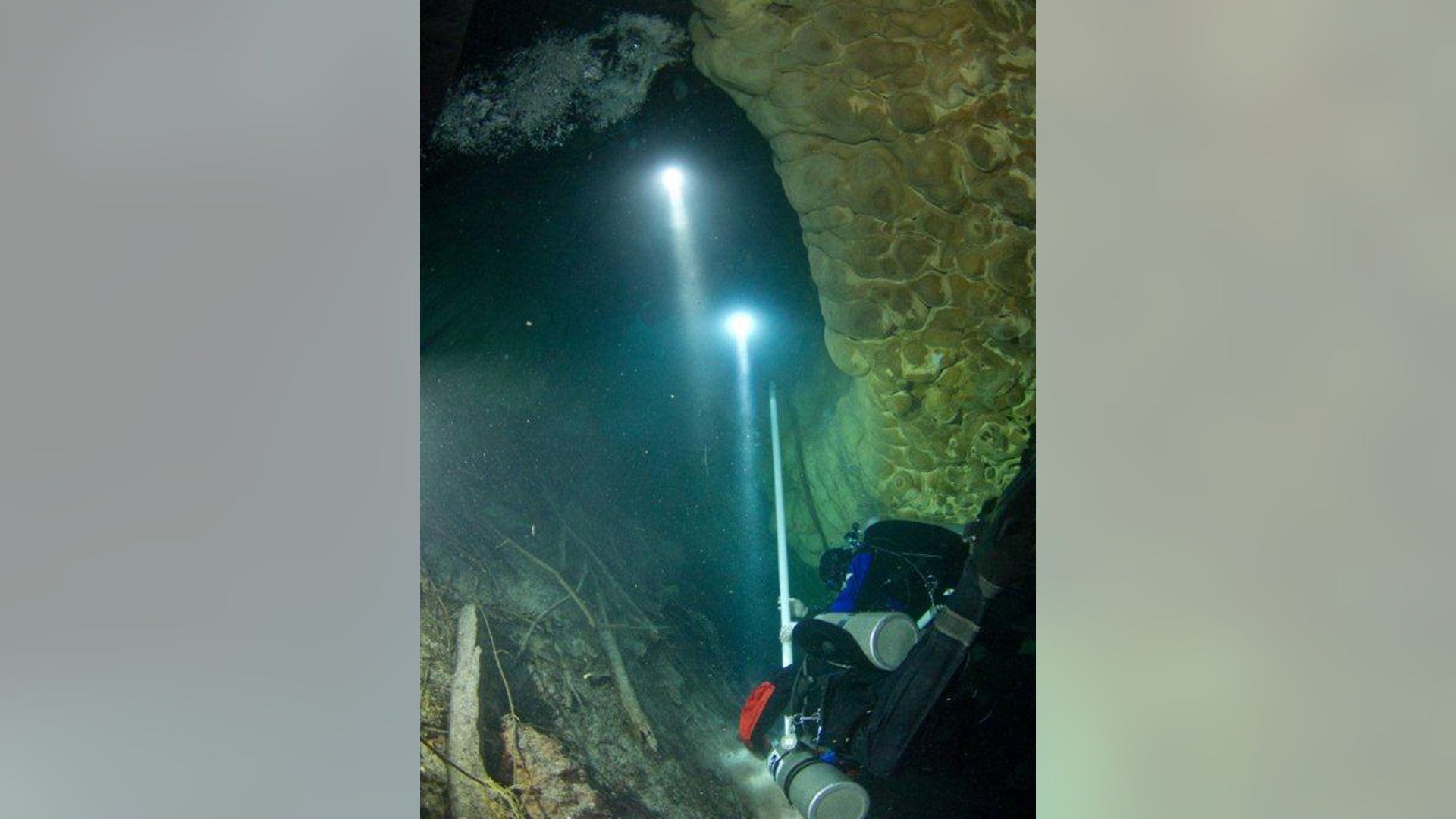 Ancient_skeleton___6_