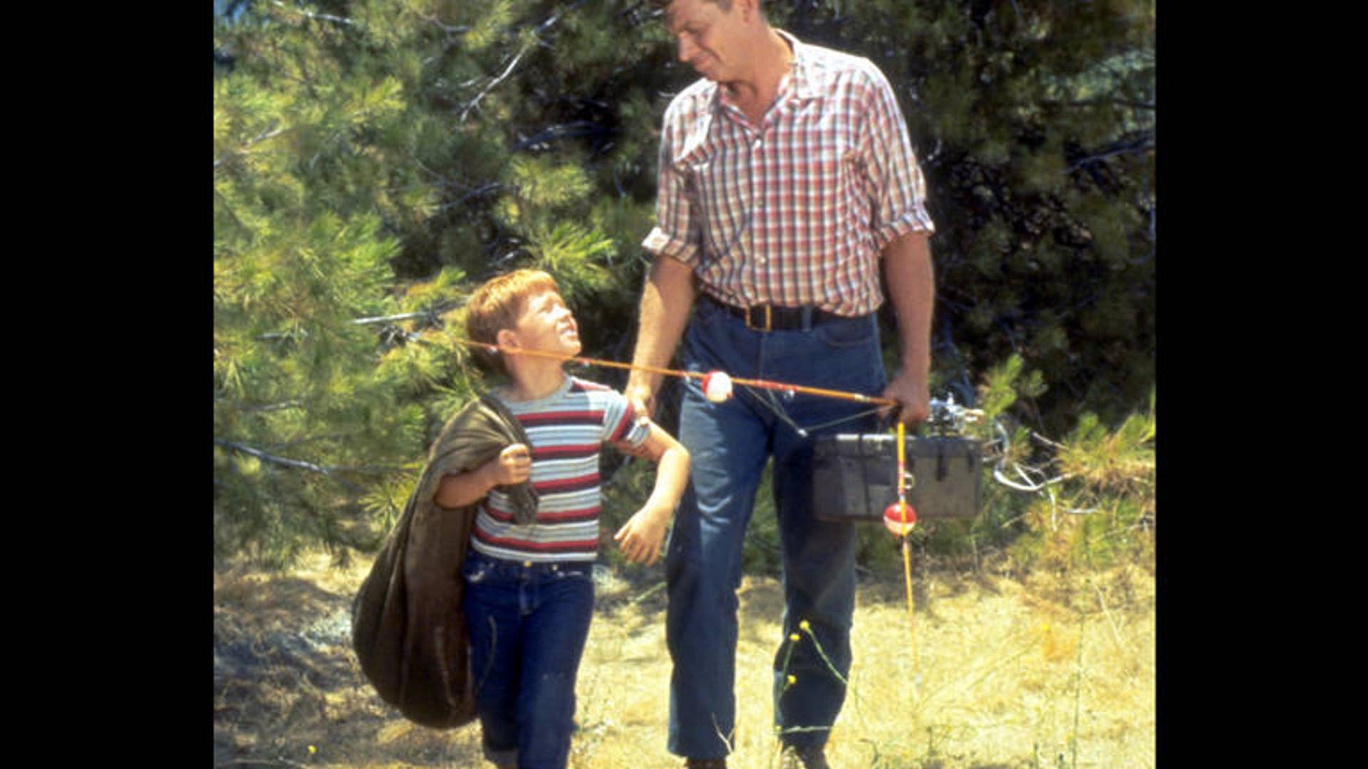 The Andy Griffith Show