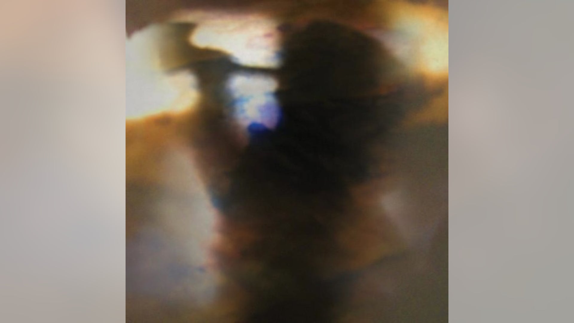 Animal_Collective_wer