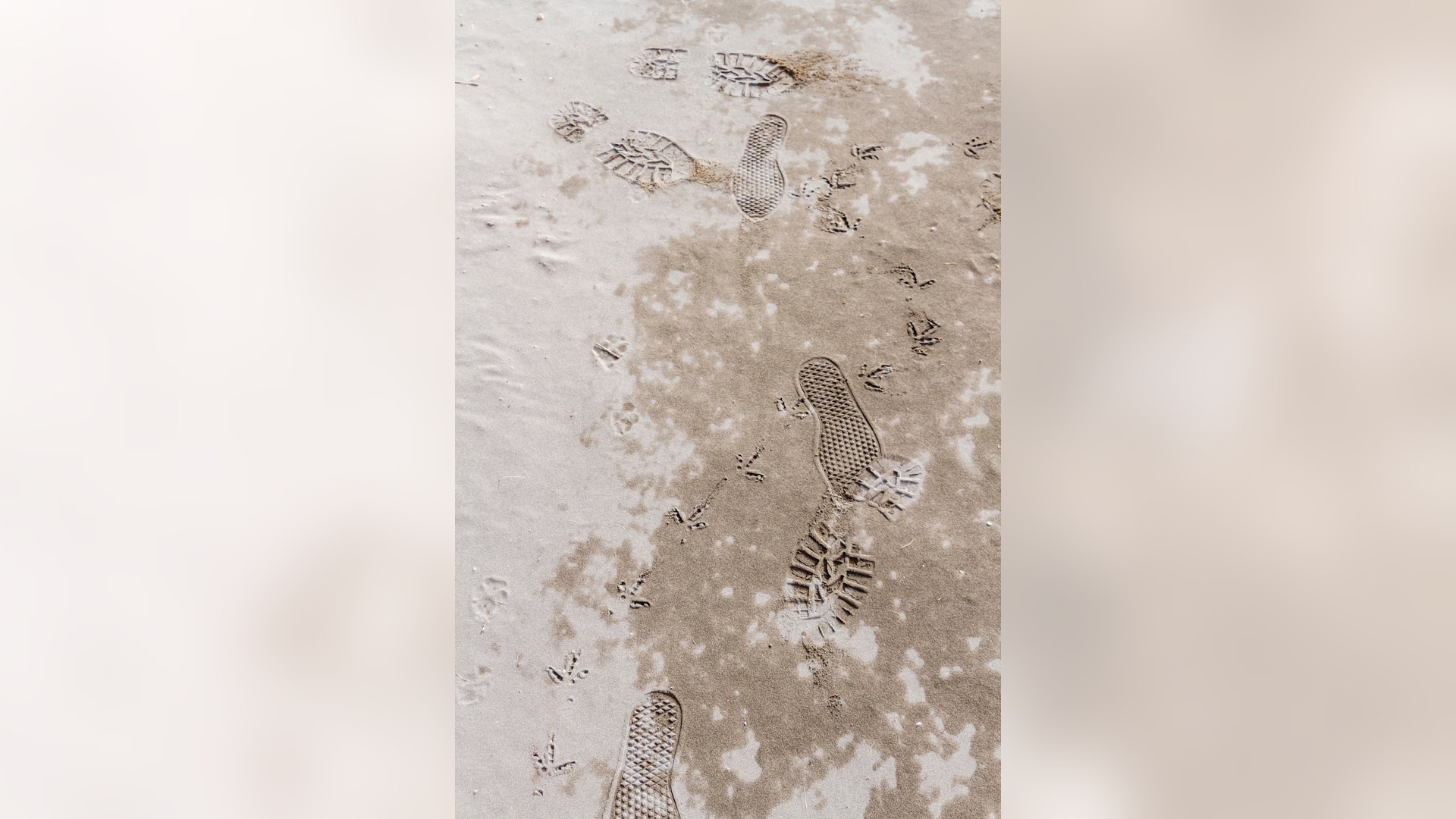 Argentina_Chile_Volca_Vros__4_