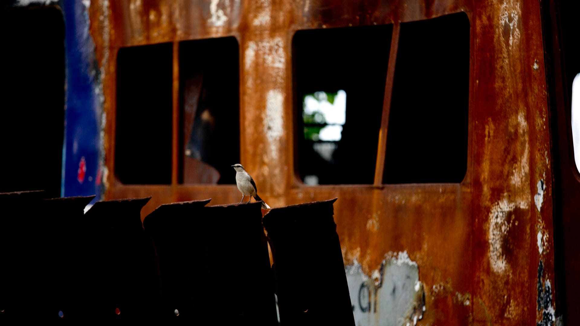 Argentina_Dismal_Trains__1_