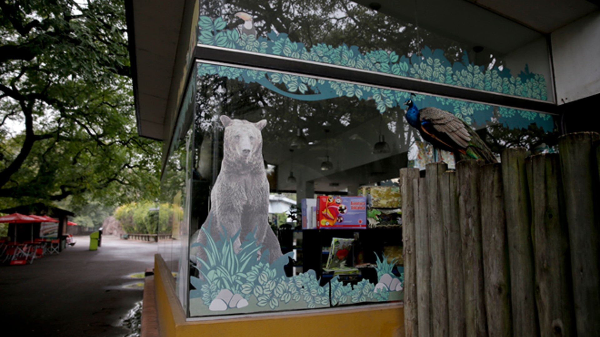 Argentina_zoo_close__10_