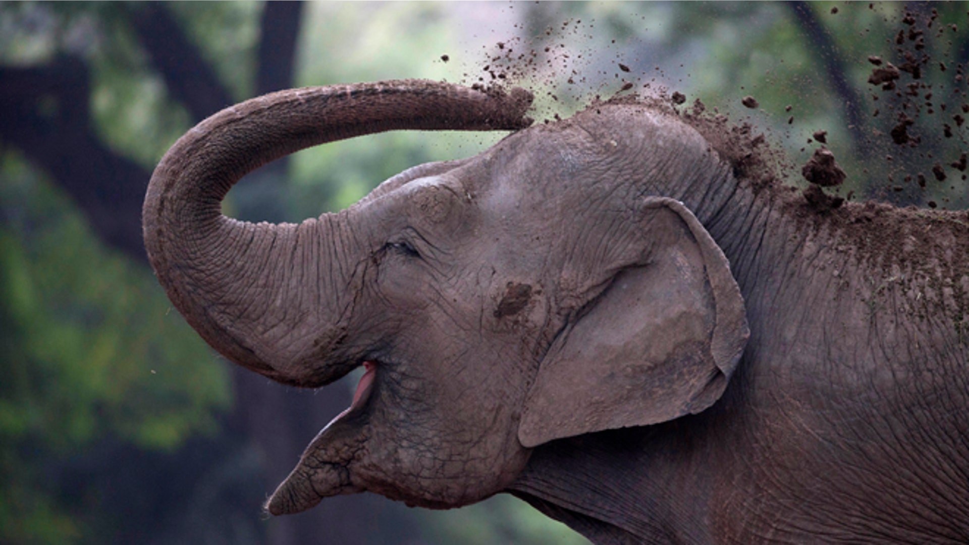 Argentina_zoo_close__13_